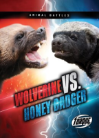 Wolverine_vs__honey_badger