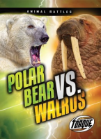 Polar_bear_vs__walrus
