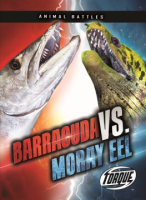 Barracuda_vs__moray_eel