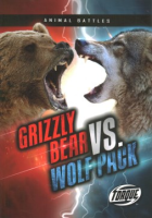 Grizzly_bear_vs__wolf_pack