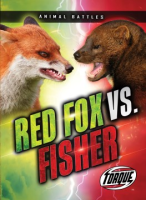 Red_fox_vs__fisher