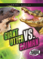 Giant_otter_vs__caiman