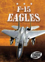 F-15_Eagles