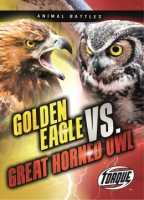 Golden_eagle_vs__great_horned_owl