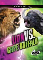 Lion_vs__cape_buffalo
